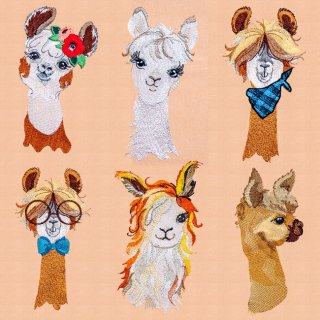 1975-topb_1.jpg?t=1774359027